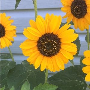 Meet your Posher, Kels